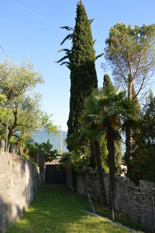 Villa Arco Climbing Esterno foto