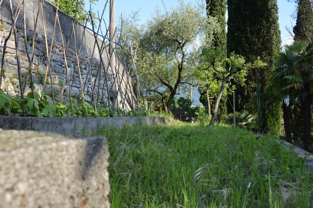 Villa Arco Climbing Esterno foto