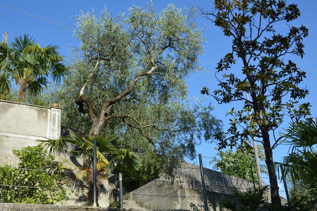Villa Arco Climbing Esterno foto